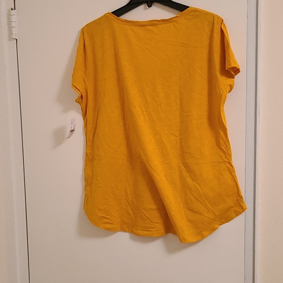Brand New Gold Cotton Tee - Picture 4 of 4